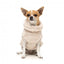 FuzzYard Turtle Teddy Dog Jumper, Beige