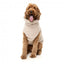 FuzzYard Turtle Teddy Dog Jumper, Beige