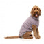 FuzzYard Turtle Teddy Dog Jumper, Lavender