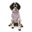FuzzYard Turtle Teddy Dog Jumper, Lavender