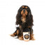 FuzzYard Barkrista Puppuccino Coffee Cup Plush Dog Toy with Squeaker