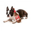 FuzzYard Barking Beer Bottle Plush Dog Toy with Squeaker