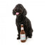 FuzzYard Drool Light Beer Bottle Plush Dog Toy with Squeaker