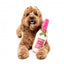 FuzzYard Dog Day Rosé wine bottle plush dog toy with squeaker