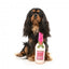 FuzzYard Dog Day Rosé wine bottle plush dog toy with squeaker