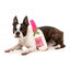 FuzzYard Dog Day Rosé wine bottle plush dog toy with squeaker