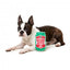 FuzzYard Hound Hops beer can plush dog toy with squeaker