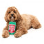 FuzzYard Hound Hops beer can plush dog toy with squeaker