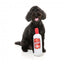 FuzzYard Pawdka bottle plush dog toy