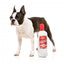 FuzzYard Pawdka bottle plush dog toy