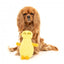 FuzzYard Belly yellow bed bug plush dog toy with squeaker