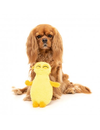 FuzzYard Belly yellow bed bug plush dog toy with squeaker