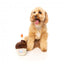 FuzzYard birthday cupcake plush dog toy with squeaker