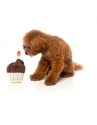 FuzzYard birthday cupcake plush dog toy with squeaker
