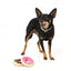 FuzzYard doughnut plush dog toys, pack of 2