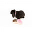 FuzzYard doughnut plush dog toys, pack of 2