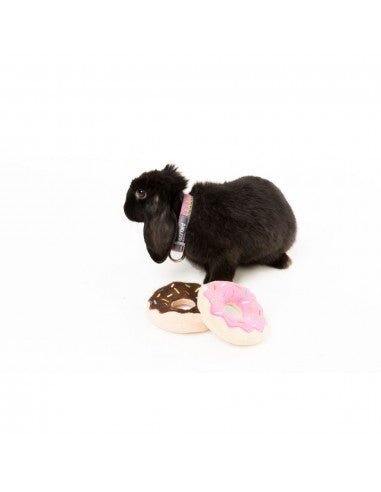 FuzzYard doughnut plush dog toys, pack of 2