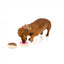 FuzzYard doughnut plush dog toys, pack of 2