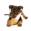 FuzzYard Ice Cream Squeaky Plush Dog Toy