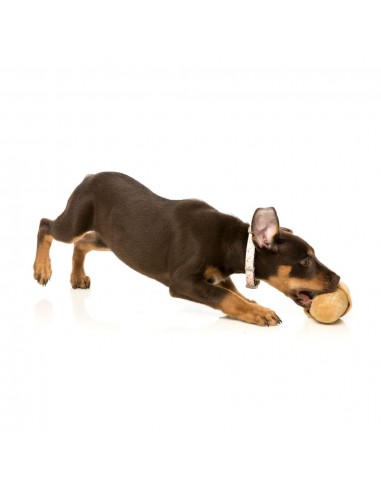 FuzzYard Ice Cream Squeaky Plush Dog Toy