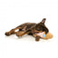 FuzzYard Ice Cream Squeaky Plush Dog Toy
