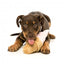 FuzzYard Ice Cream Squeaky Plush Dog Toy