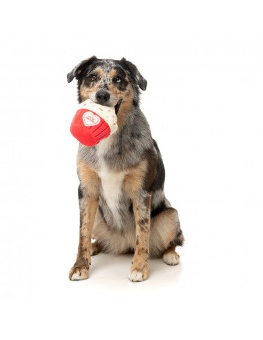 Squeaky plush dog toy FuzzYard Cupcake You're Pawsome