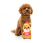 Christmas Plush Dog Toy FuzzYard #1 Nut Cracker