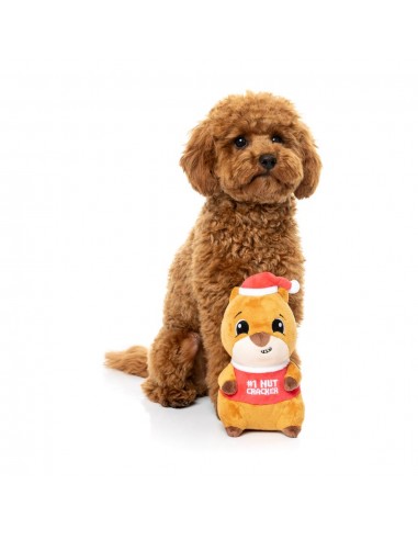 Christmas Plush Dog Toy FuzzYard #1 Nut Cracker