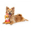 Christmas Plush Dog Toy FuzzYard #1 Nut Cracker