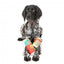 FuzzYard Christmas Seltzers Christmas plush dog toy, pack of 2