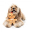 FuzzYard Doughlila Christmas plush dog toy (size S)