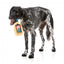 FuzzYard Jolly Scotch Christmas Plush Dog Toy
