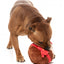 Christmas plush dog toy FuzzYard Merry Puddin, Christmas pudding design
