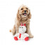 Christmas plush dog toy FuzzYard Peppermint Electra