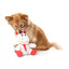 Christmas plush dog toy FuzzYard Peppermint Electra