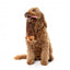 Christmas plush dog toy FuzzYard Run Away Reindeer