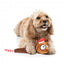 Christmas plush dog toy FuzzYard Run Away Reindeer