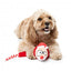 Christmas plush dog toy FuzzYard So Long Santa