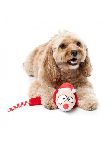 Christmas plush dog toy FuzzYard So Long Santa