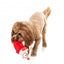 Christmas plush dog toy FuzzYard So Long Santa