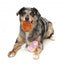 Easter Egg Plush Dog Toys FuzzYard, Pack of 2