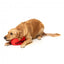 Squeaky plush dog toy FuzzYard Aussie Football