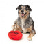 Squeaky plush dog toy FuzzYard Aussie Football