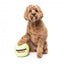 Squeaky plush dog toy FuzzYard Tennis Ball