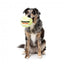Squeaky plush dog toy FuzzYard Tennis Ball