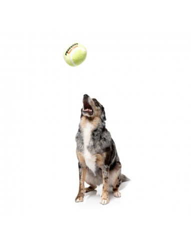 Squeaky plush dog toy FuzzYard Tennis Ball