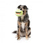 Squeaky plush dog toy FuzzYard Tennis Ball
