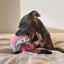 Squeaky plush dog toy FuzzYard Fun Guys Rainbow Mushroom
