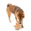 FuzzYard Happybaras Capy-Ccino Plush Dog Toy with Squeaker